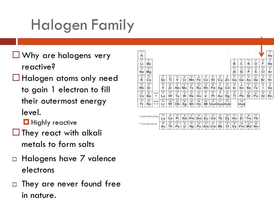 Halogen Family Why are halogens very reactive