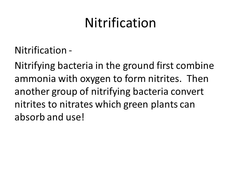Nitrification