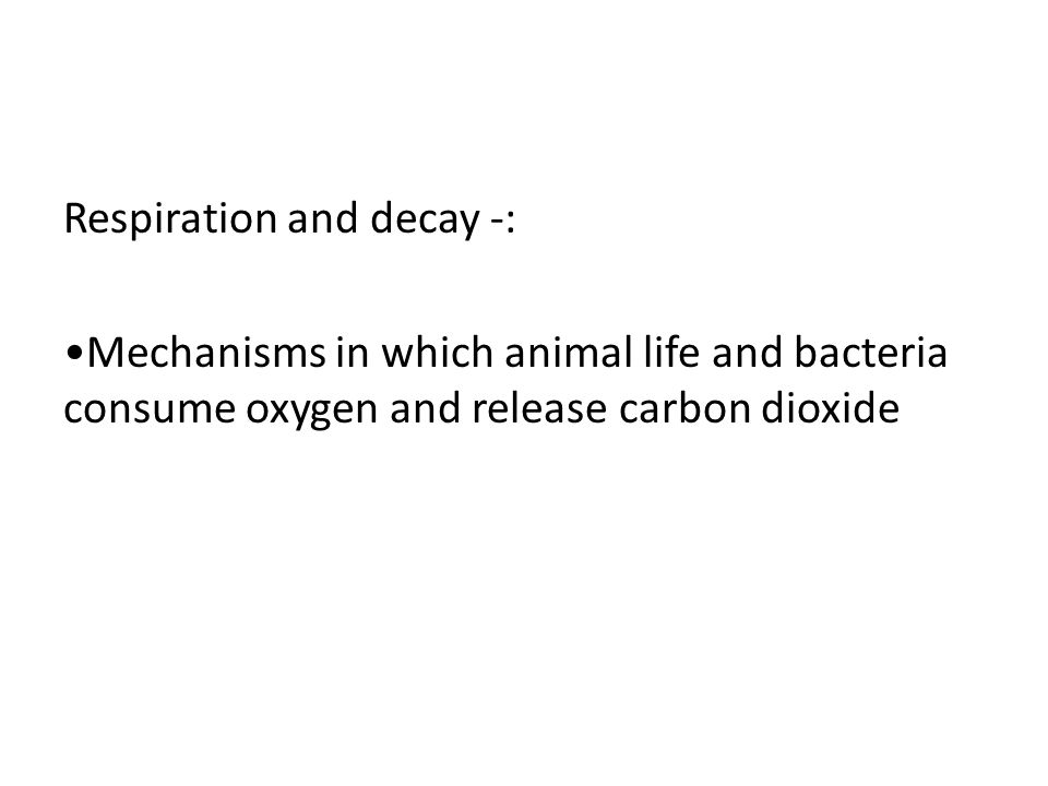 Respiration and decay -: •Mechanisms in which animal life and bacteria consume oxygen and release carbon dioxide