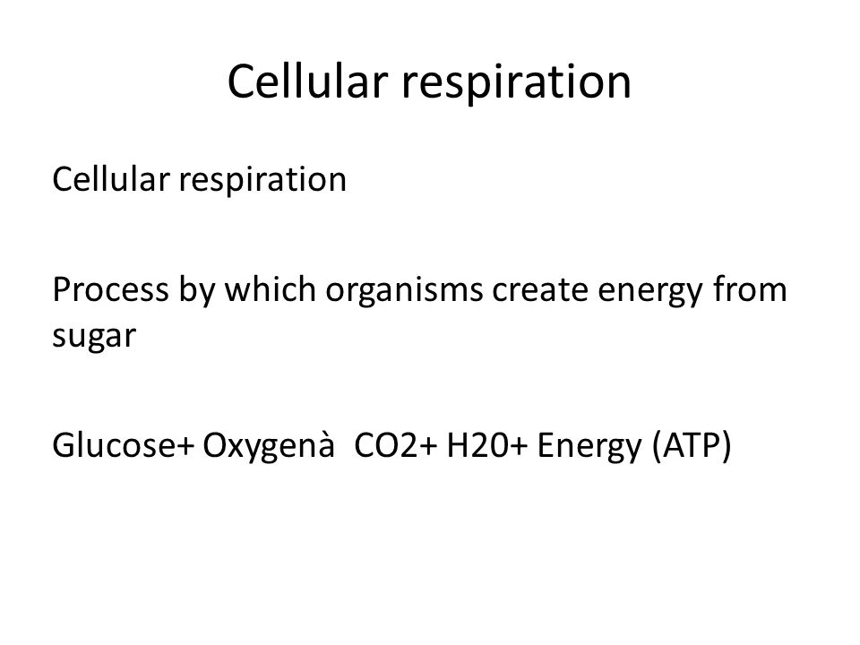 Cellular respiration Cellular respiration Process by which organisms create energy from sugar Glucose+ Oxygenà CO2+ H20+ Energy (ATP)