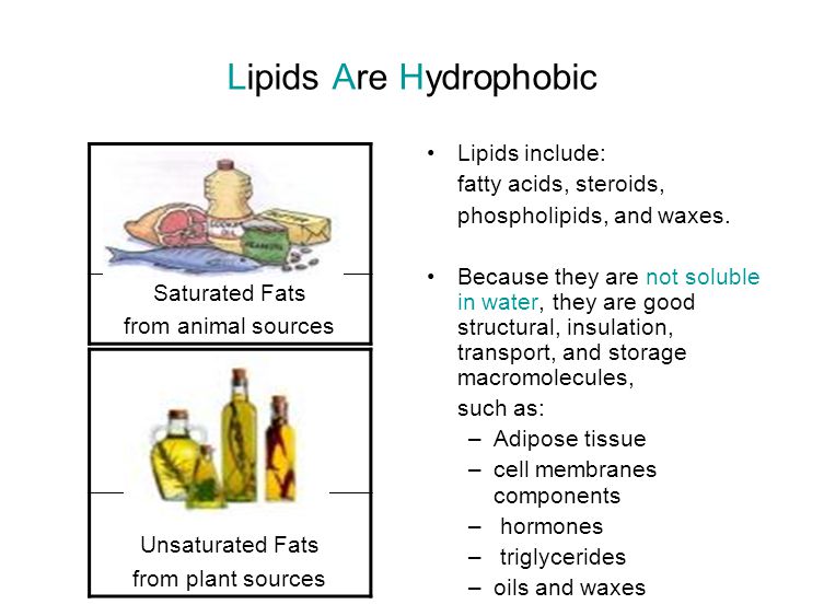 waxes,Johanna lipids include:fatty acids, steroids,phospholipids, and waxes