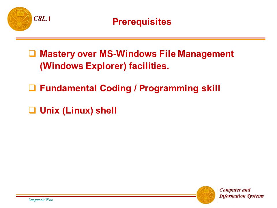 Mastery over MS-Windows File Management (Windows Explorer) facilities.