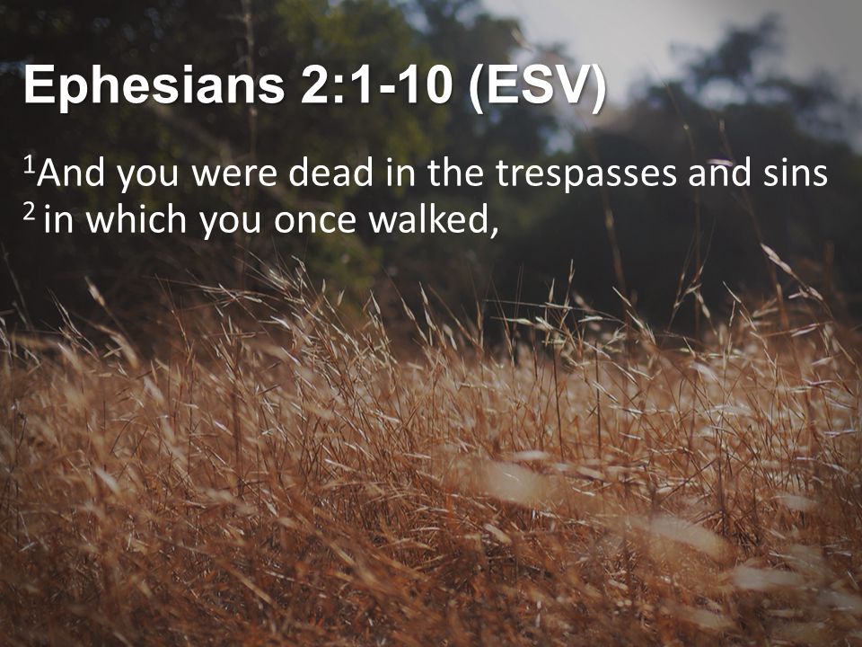 Ephesians 2:1-10 (ESV) 1And you were dead in the trespasses and sins 2 in which you once walked,