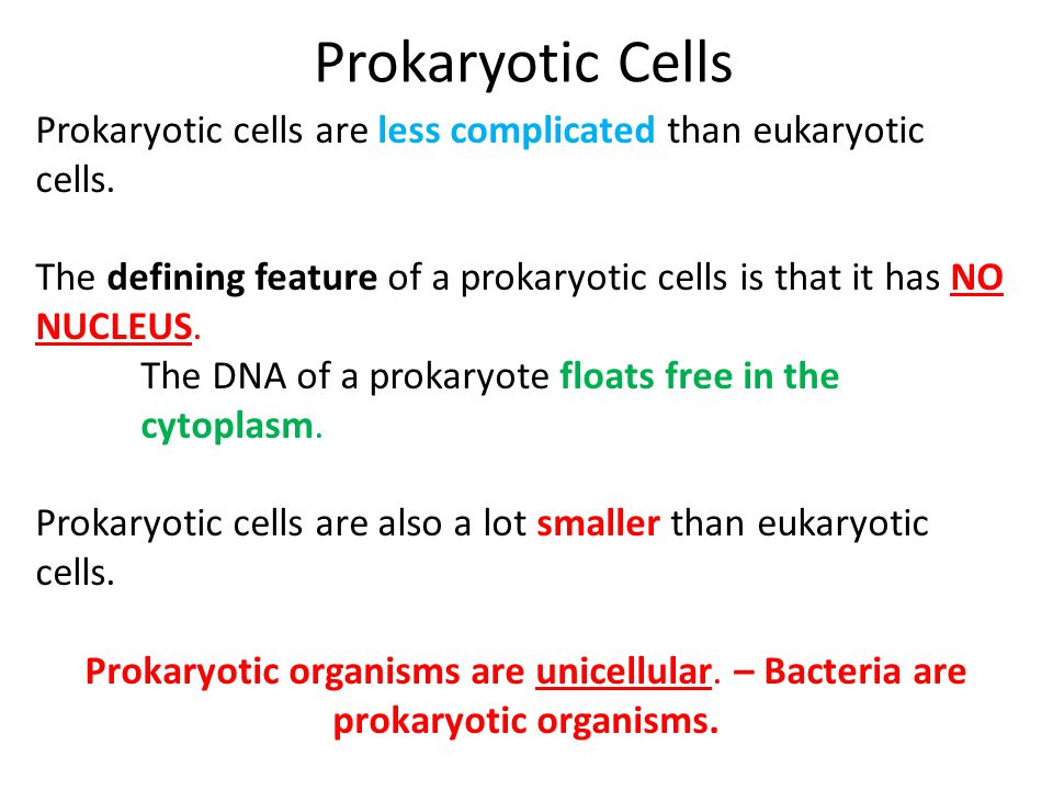 Prokaryotic Cells Prokaryotic cells are less complicated than eukaryotic cells.