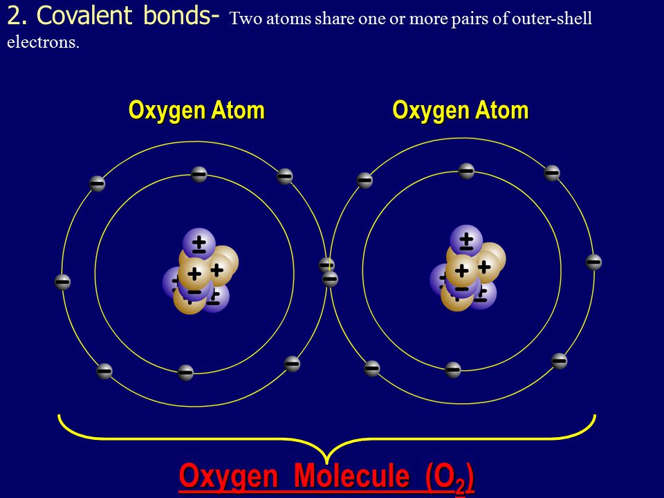 2. Covalent bonds- Two atoms share one or more pairs of outer-shell electrons.