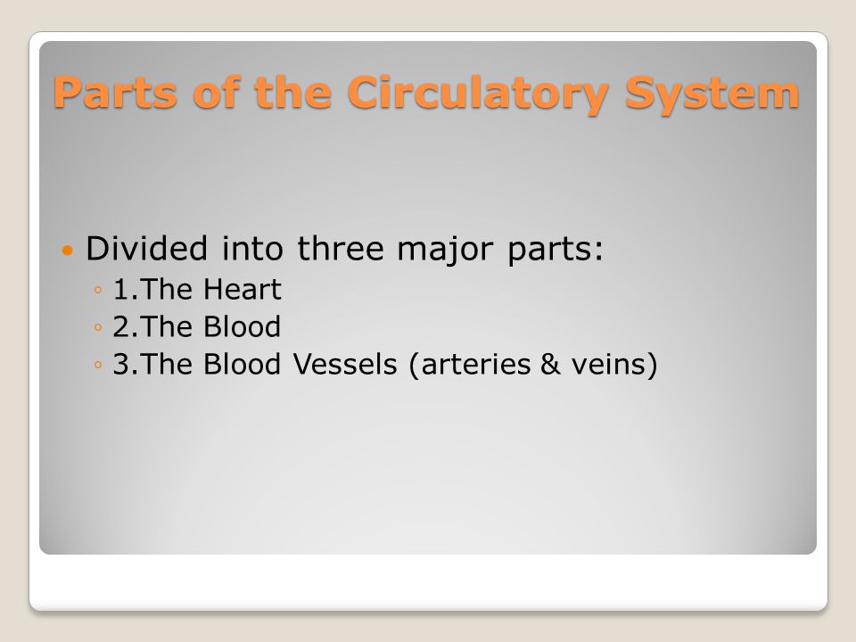 Parts of the Circulatory System