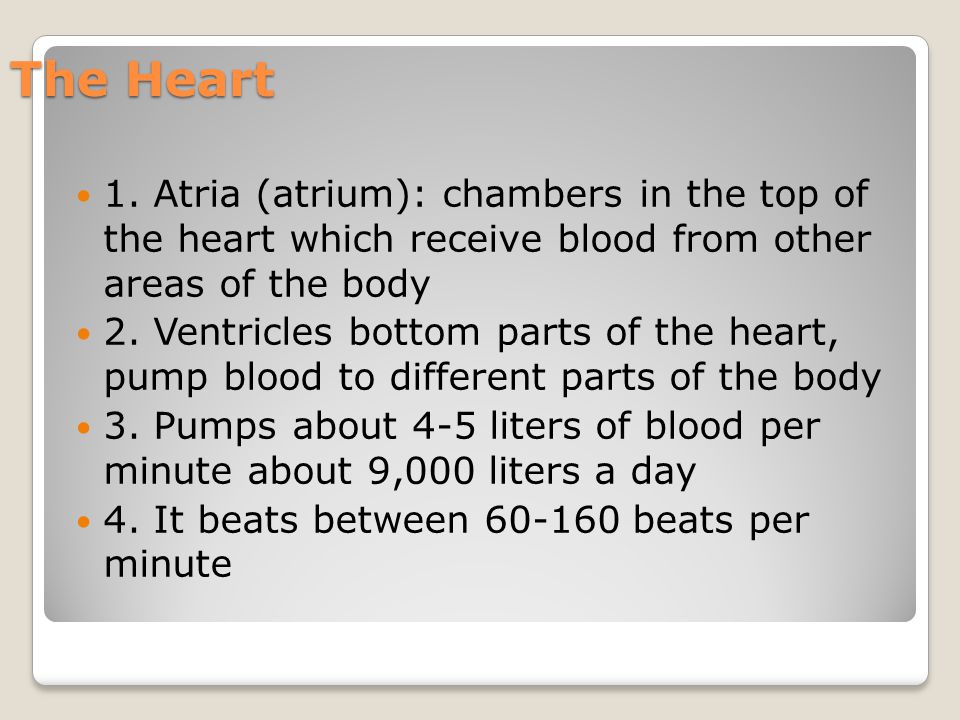 The Heart 1. Atria (atrium): chambers in the top of the heart which receive blood from other areas of the body.