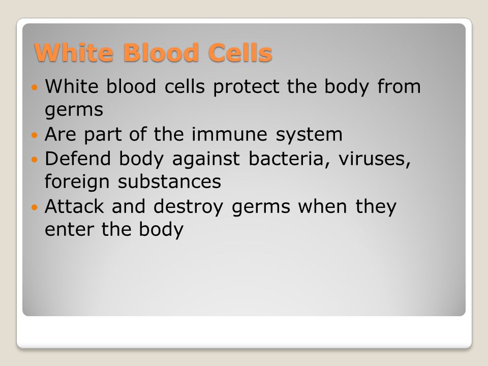 White Blood Cells White blood cells protect the body from germs