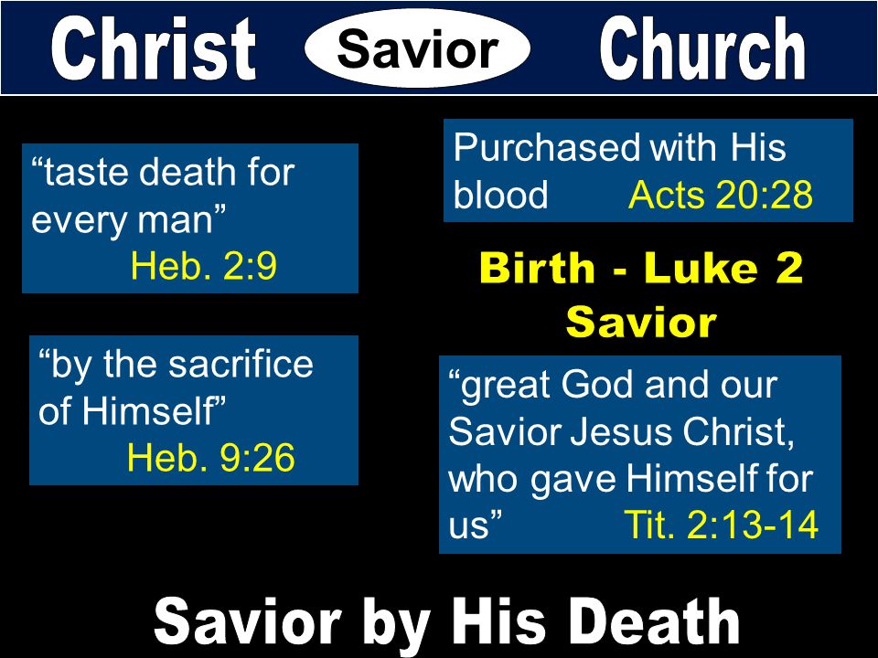 Savior Christ Church Birth - Luke 2 Savior Savior by His Death