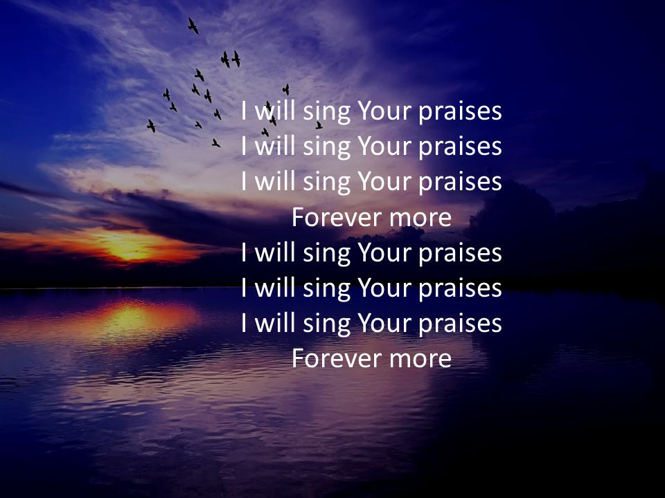 I will sing Your praises I will sing Your praises I will sing Your praises Forever more I will sing Your praises I will sing Your praises I will sing Your praises Forever more