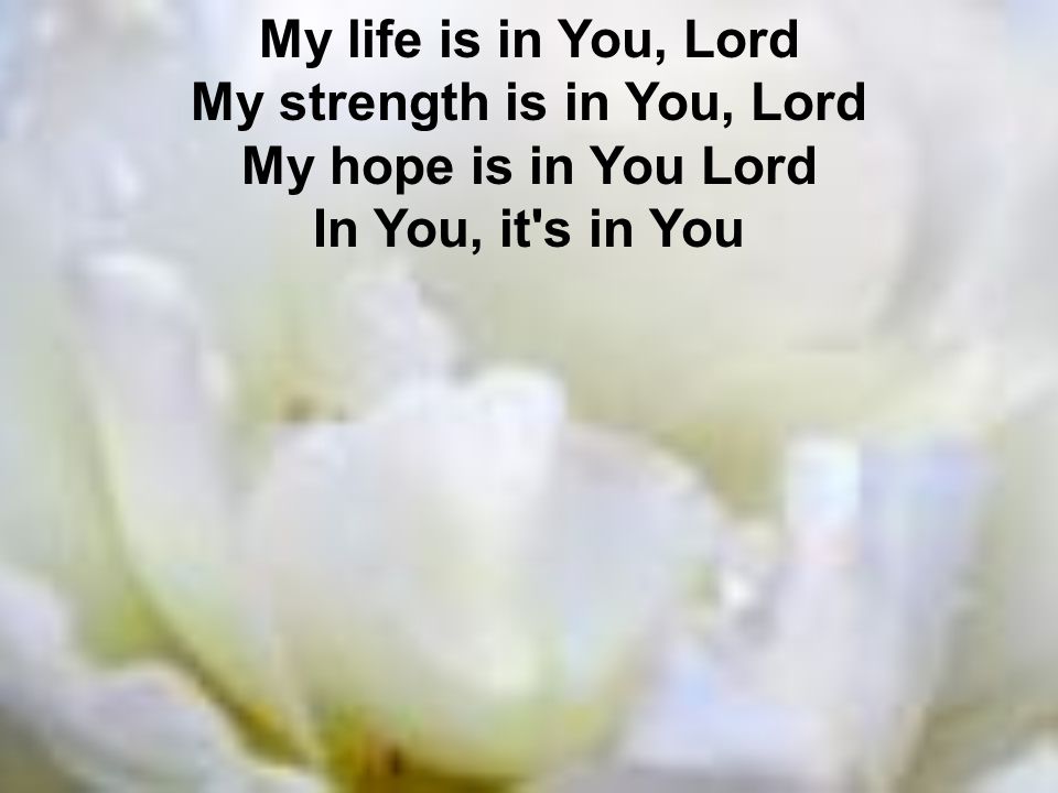My life is in You, Lord My strength is in You, Lord My hope is in You Lord In You, it s in You