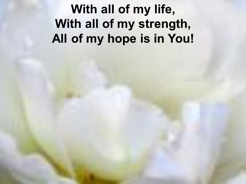 With all of my life, With all of my strength, All of my hope is in You!