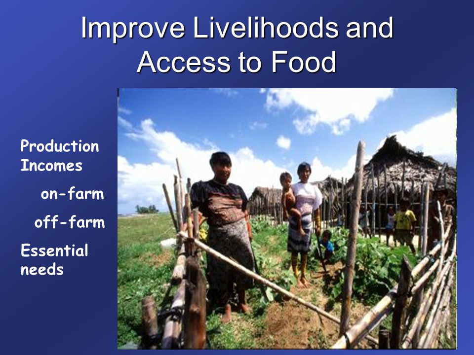 Improve Livelihoods and Access to Food