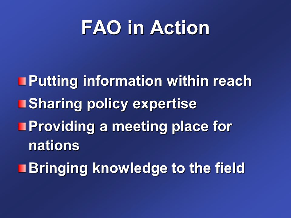 FAO in Action Putting information within reach
