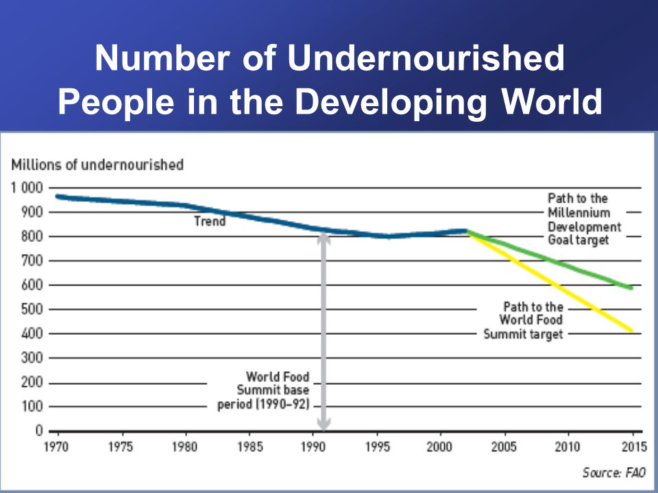 Number of Undernourished People in the Developing World