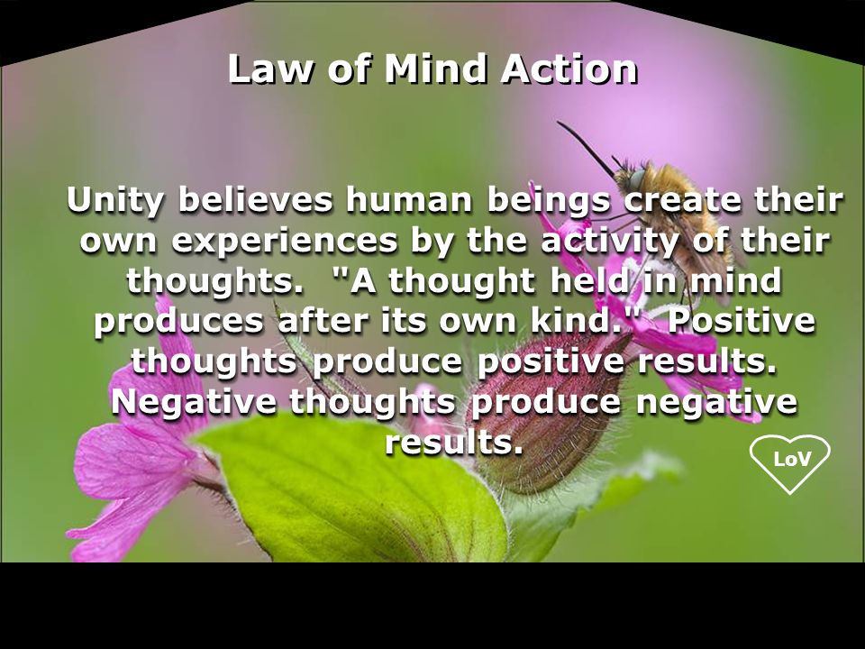 Law of Mind Action