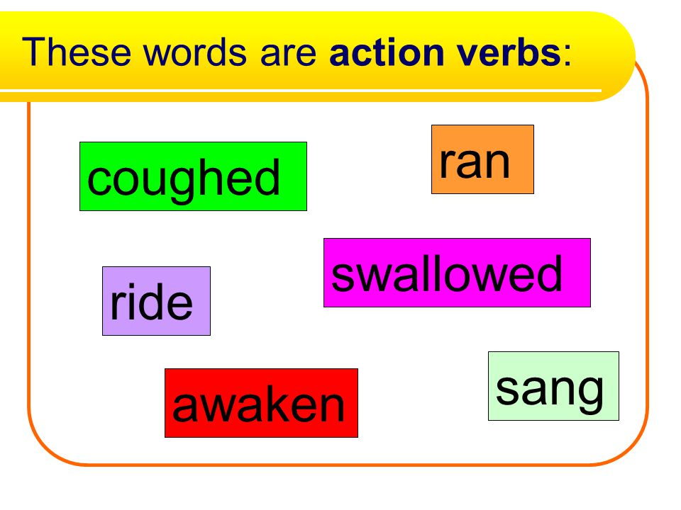 These words are action verbs: