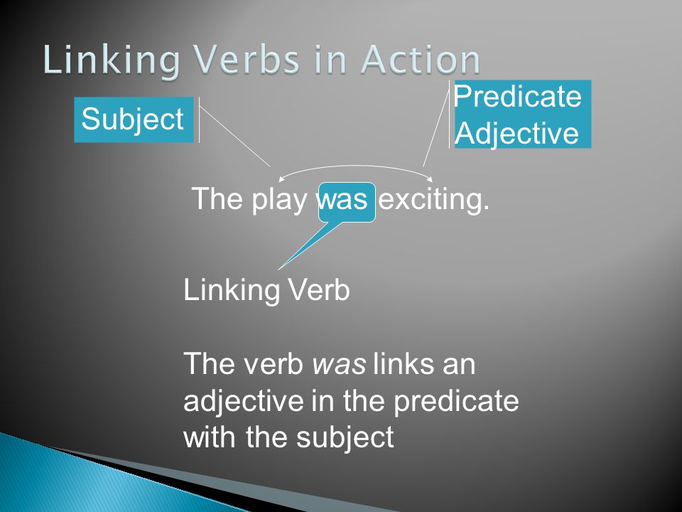 Linking Verbs in Action