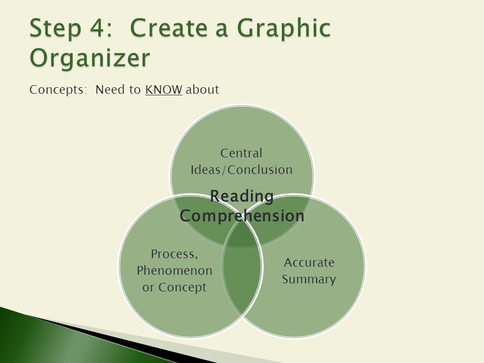 Step 4: Create a Graphic Organizer