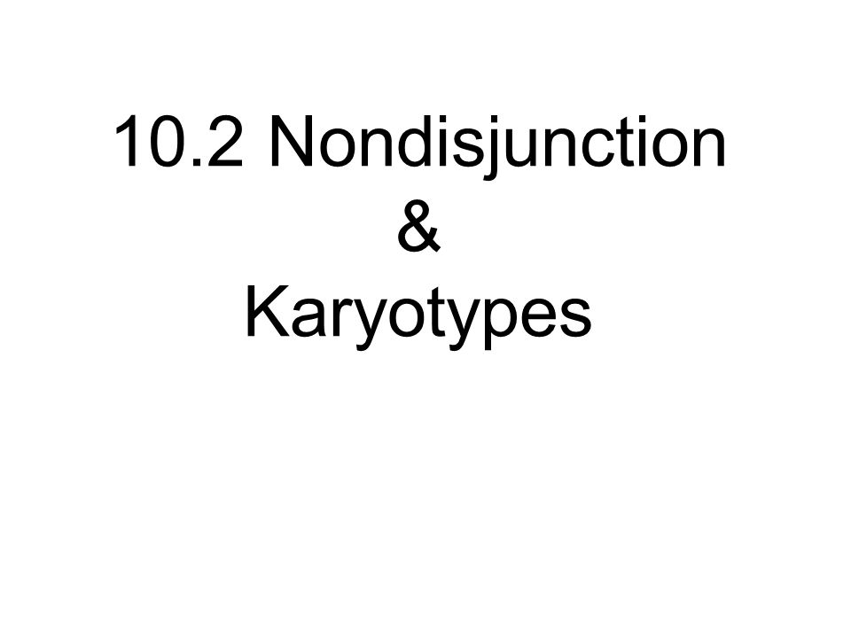 10.2 Nondisjunction & Karyotypes