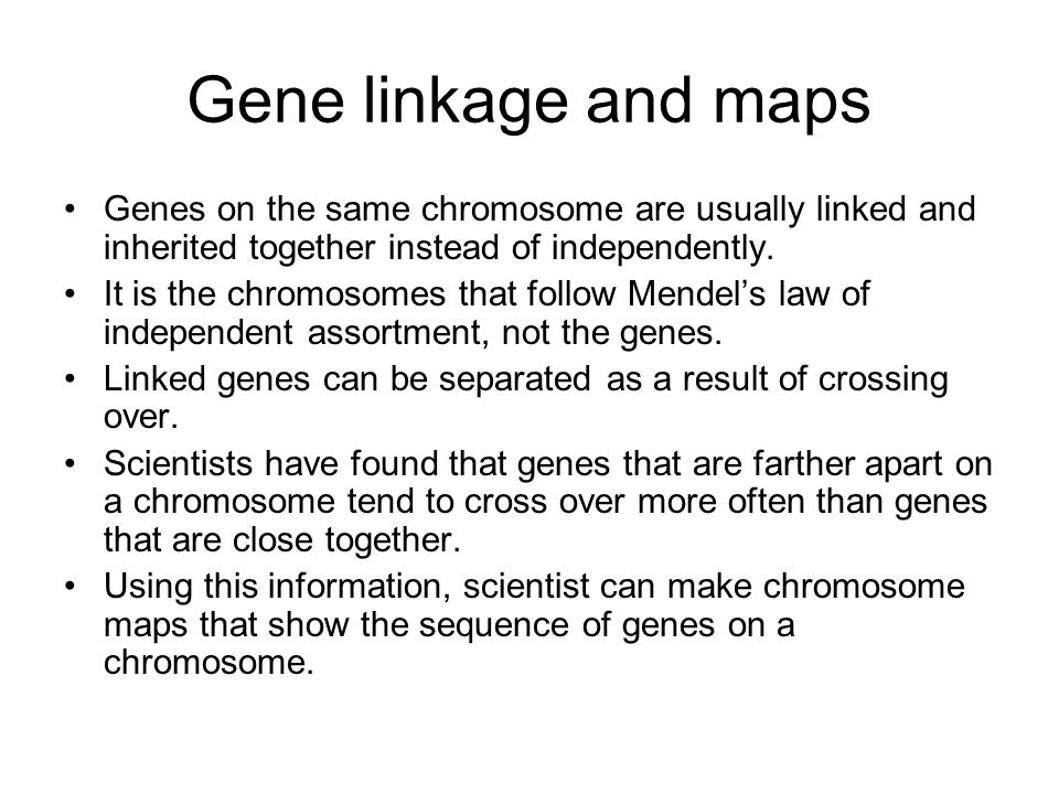 Gene linkage and maps Genes on the same chromosome are usually linked and inherited together instead of independently.