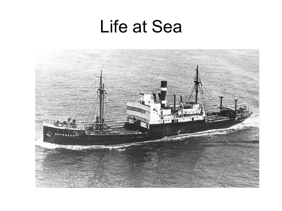 Life at Sea