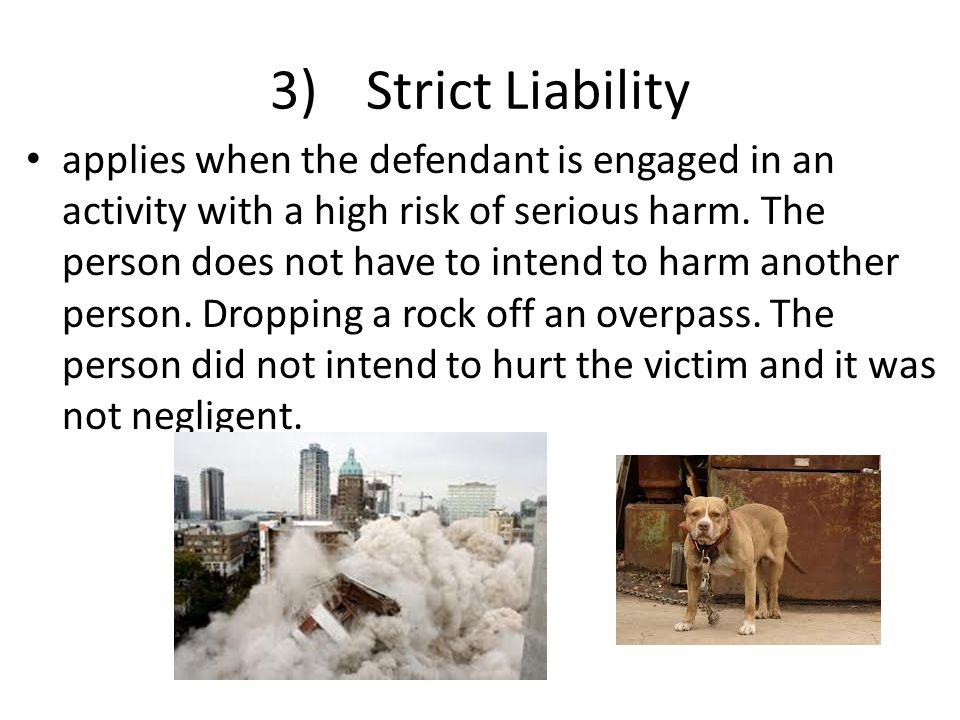 3) Strict Liability