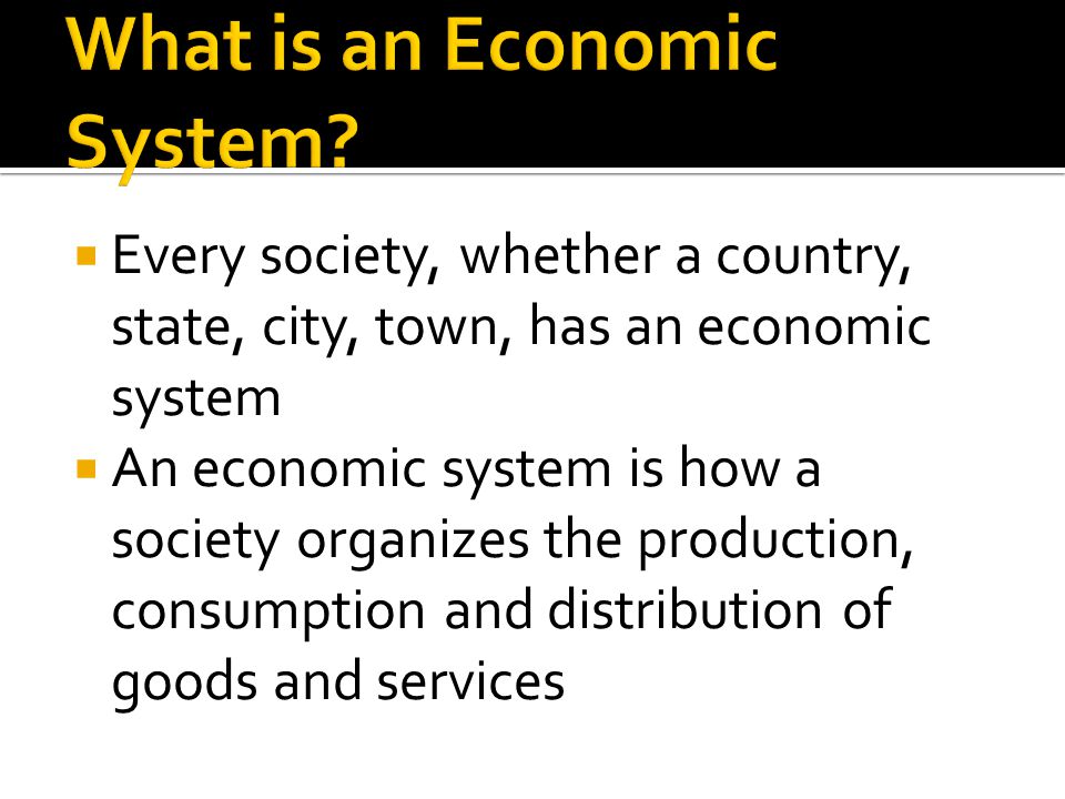 What is an Economic System