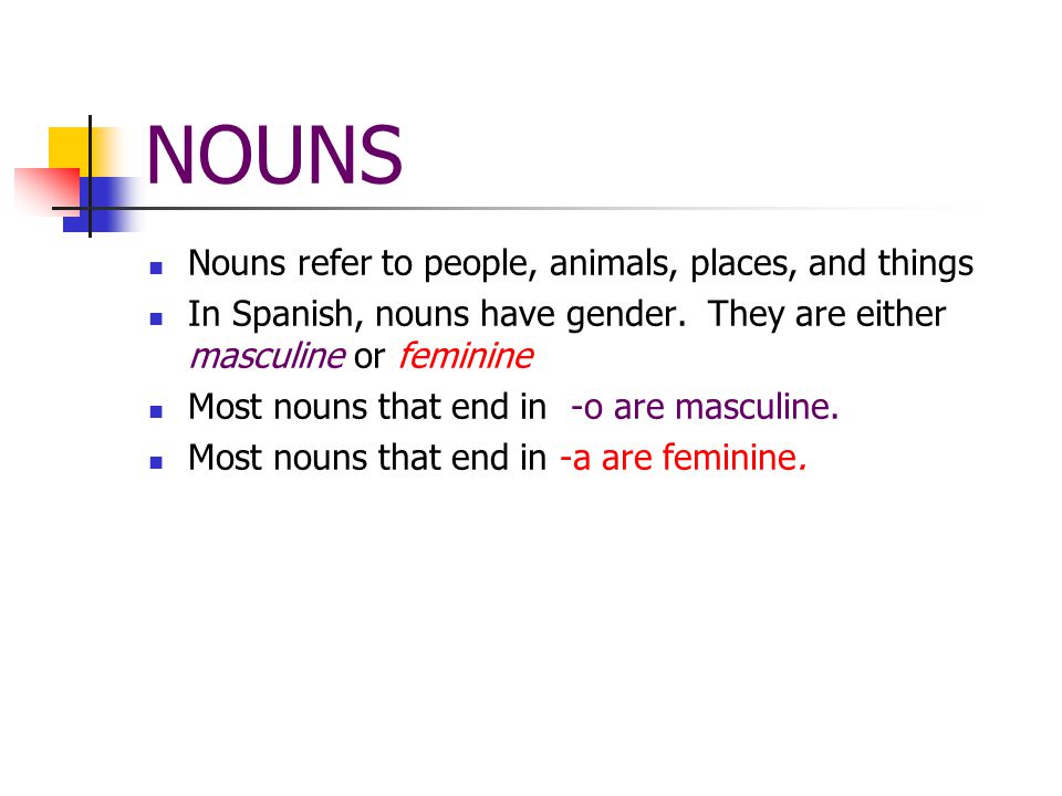 NOUNS Nouns refer to people, animals, places, and things