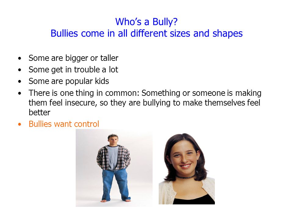 Who’s a Bully Bullies come in all different sizes and shapes