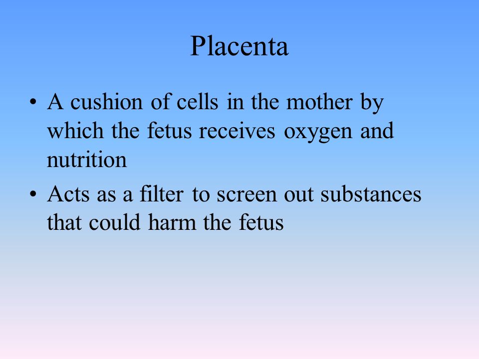 Placenta A cushion of cells in the mother by which the fetus receives oxygen and nutrition.