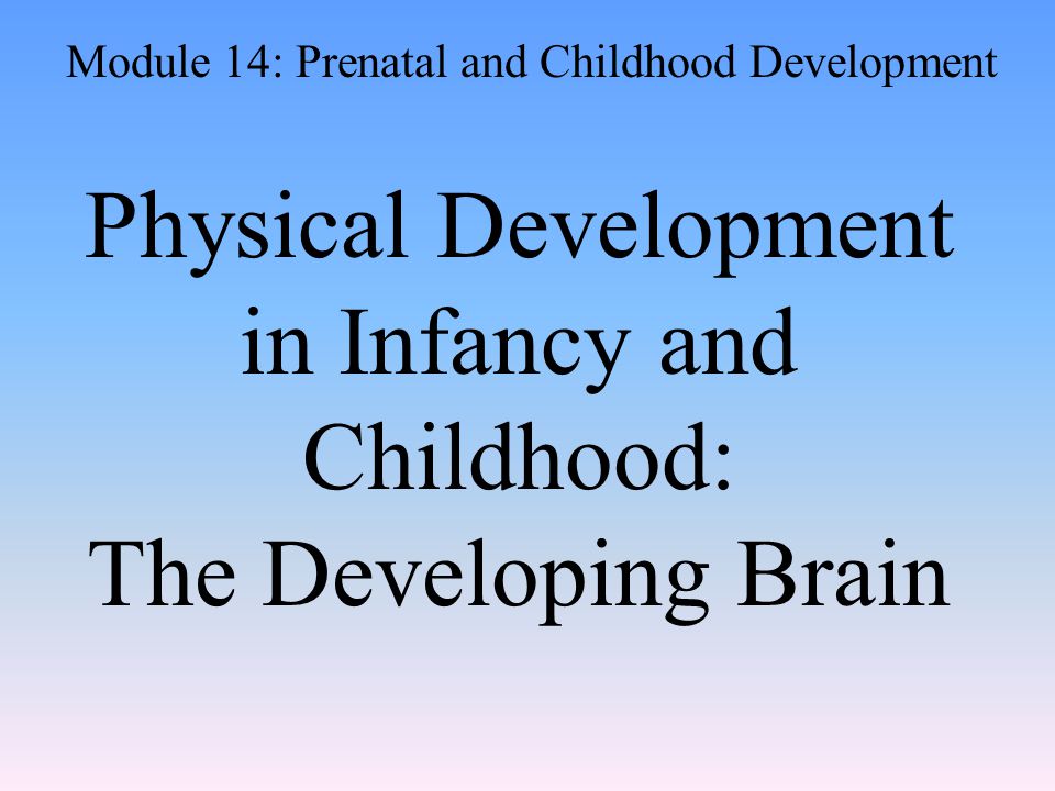 Physical Development in Infancy and Childhood: The Developing Brain