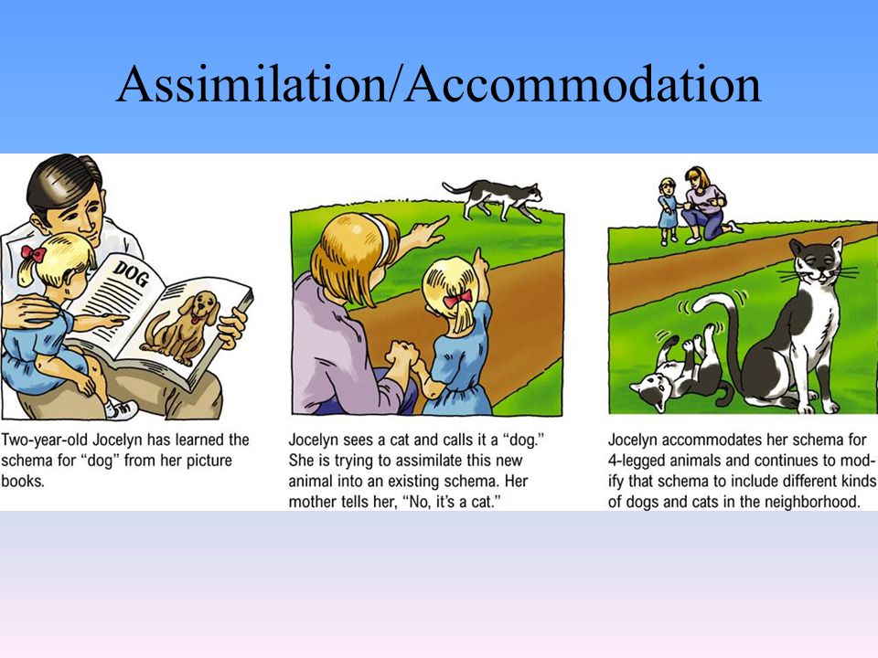 Assimilation/Accommodation