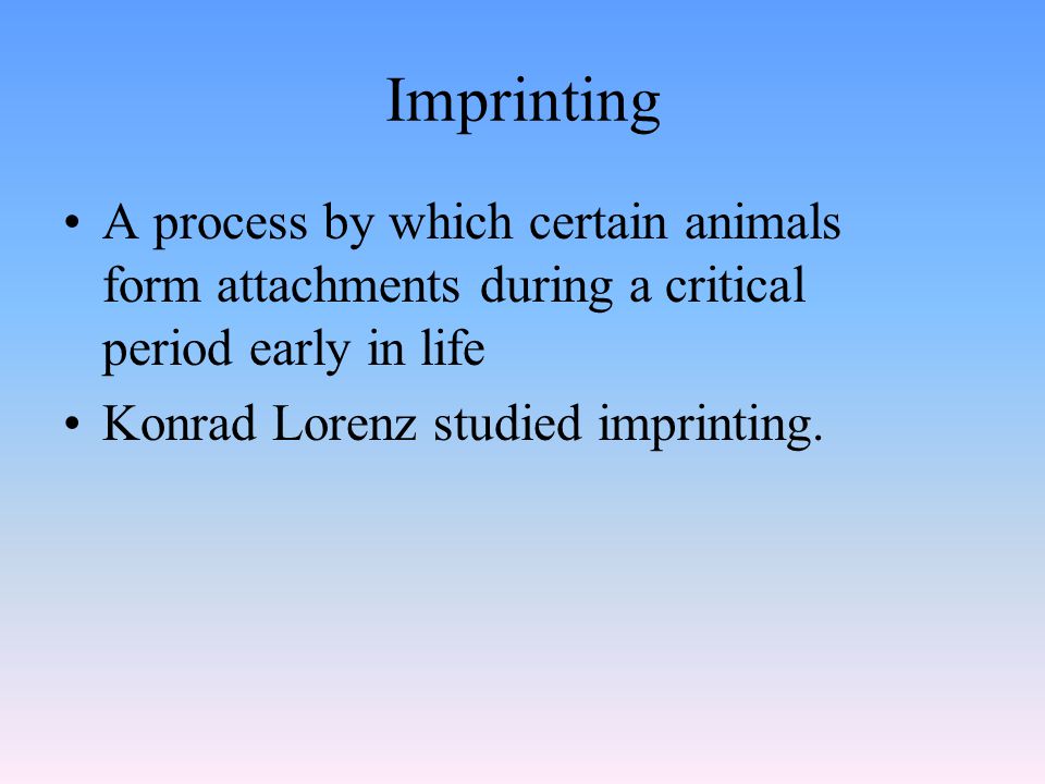 Imprinting A process by which certain animals form attachments during a critical period early in life.