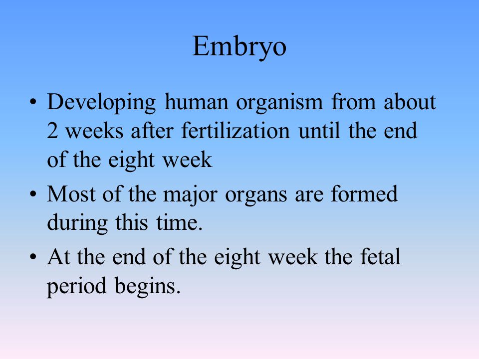 Embryo Developing human organism from about 2 weeks after fertilization until the end of the eight week.