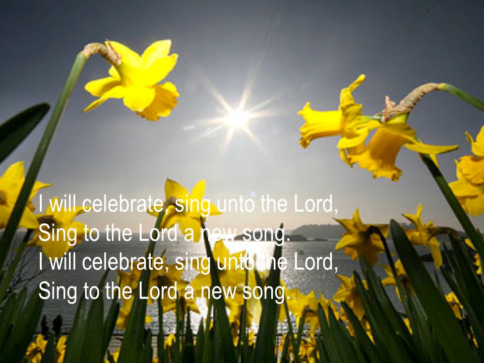 I will celebrate, sing unto the Lord, Sing to the Lord a new song
