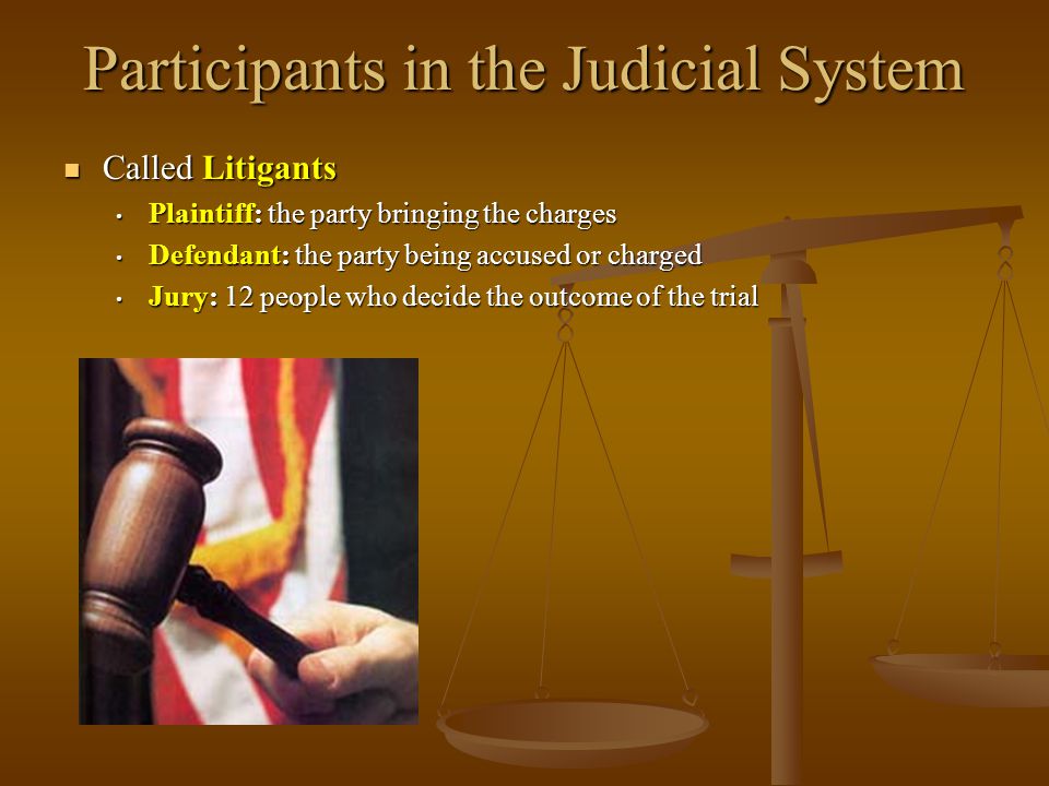 Participants in the Judicial System