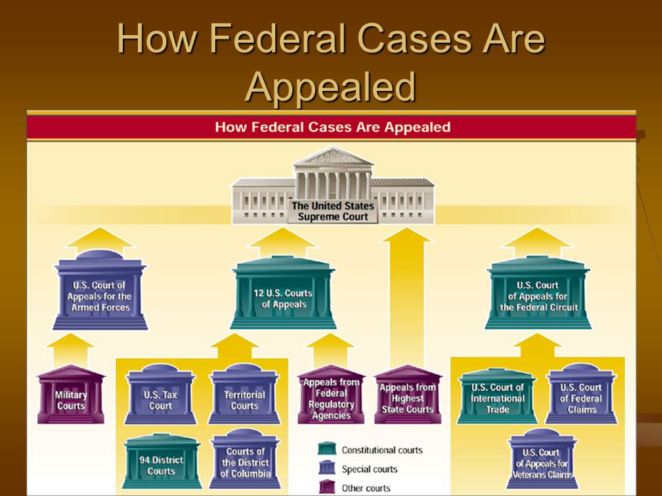 How Federal Cases Are Appealed