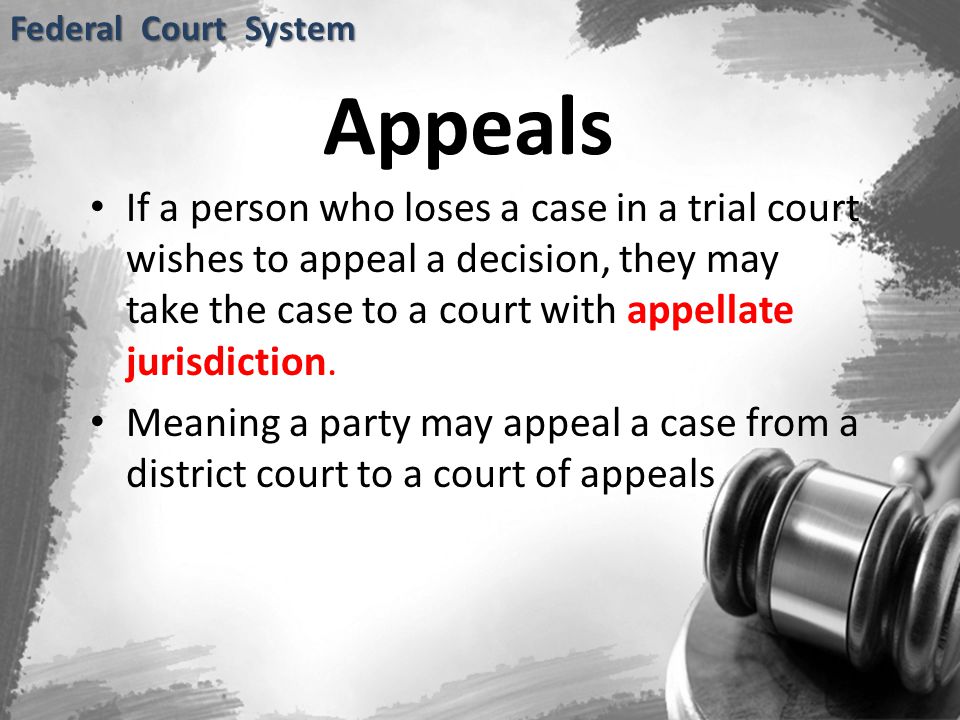 Federal Court System Appeals.