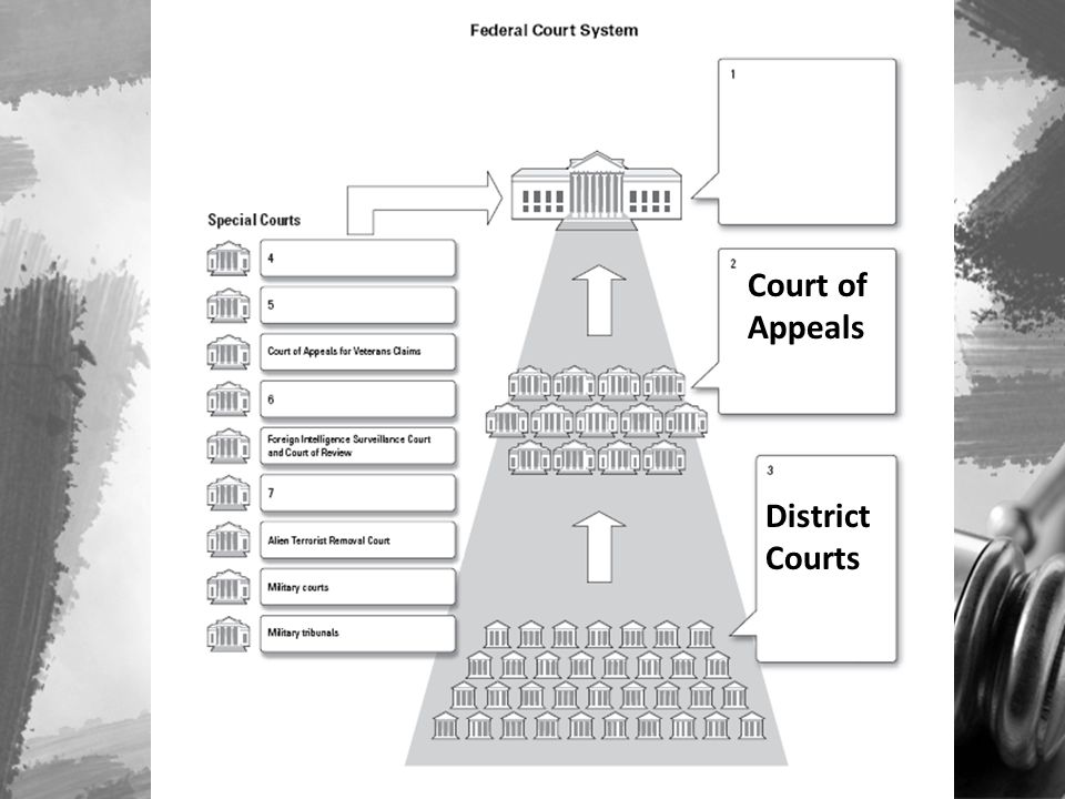 Court of Appeals District Courts