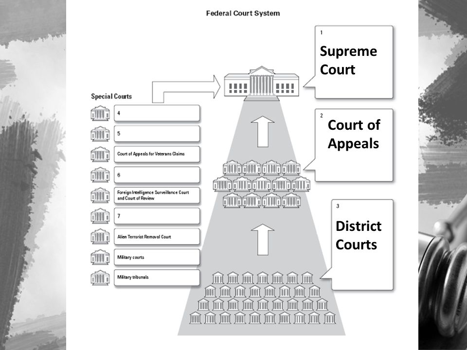Supreme Court Court of Appeals District Courts