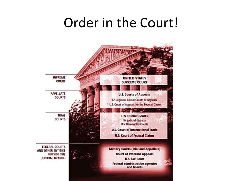 Order in the Court!