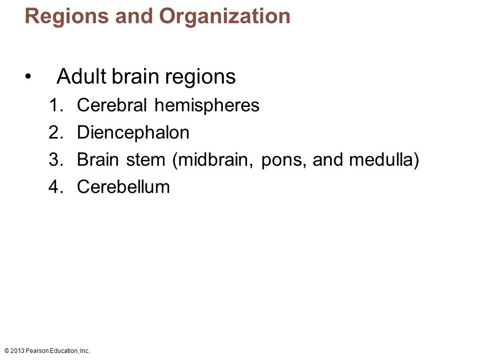 Regions and Organization