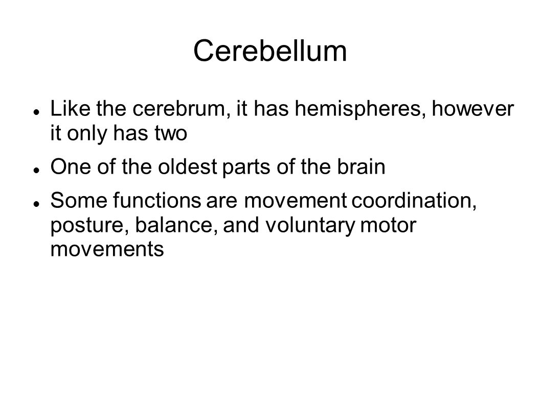 Cerebellum Like the cerebrum, it has hemispheres, however it only has two. One of the oldest parts of the brain.
