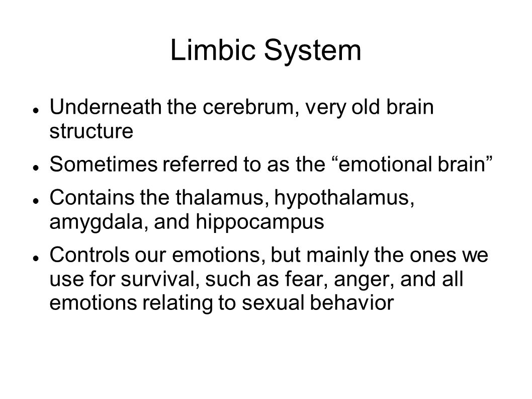 Limbic System Underneath the cerebrum, very old brain structure