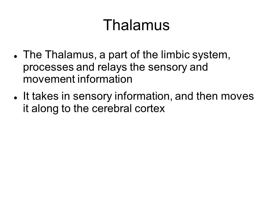 Thalamus The Thalamus, a part of the limbic system, processes and relays the sensory and movement information.