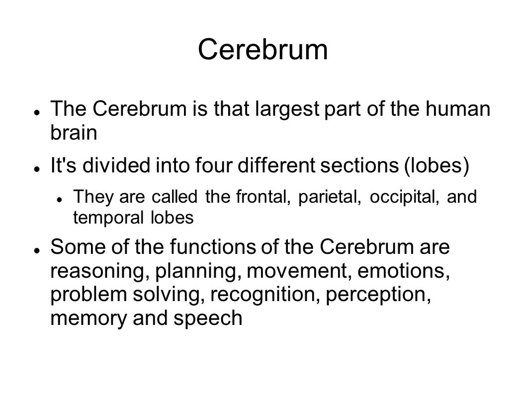 Cerebrum The Cerebrum is that largest part of the human brain