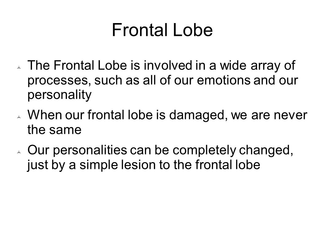 Frontal Lobe The Frontal Lobe is involved in a wide array of processes, such as all of our emotions and our personality.