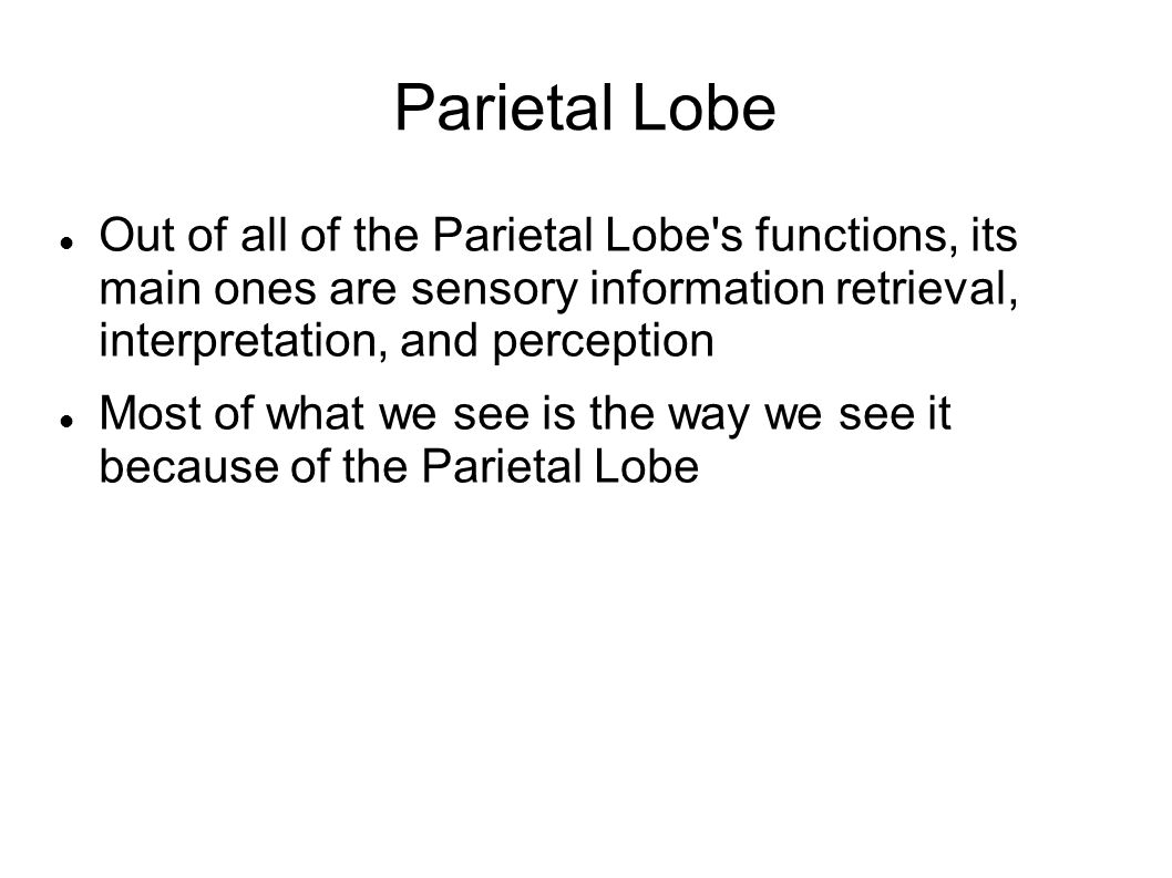 Parietal Lobe Out of all of the Parietal Lobe s functions, its main ones are sensory information retrieval, interpretation, and perception.