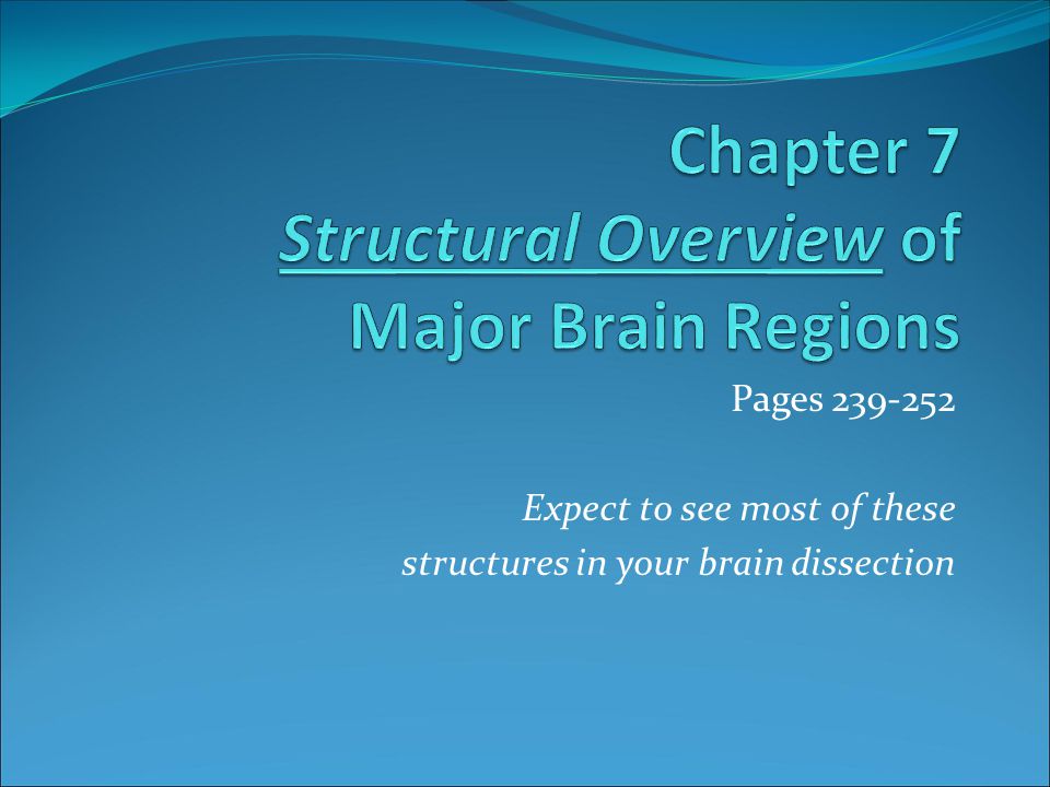 Chapter 7 Structural Overview of Major Brain Regions